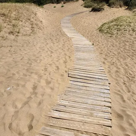 מלון Reves De Dunes - 8 Personnes A 100m De La ! 4*